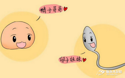 如何从吃住行全面提升卵子质量？
